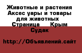 Животные и растения Аксесcуары и товары для животных - Страница 2 . Крым,Судак